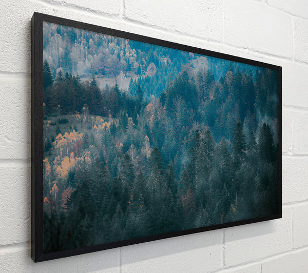 Teal Forest Hues