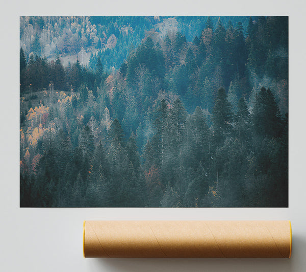Teal Forest Hues Poster