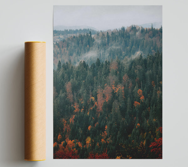 Red And Green Mist Print