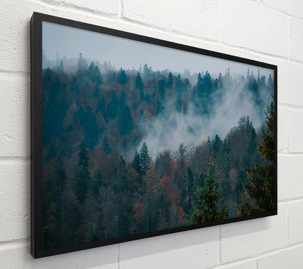 Misty Teal Forest