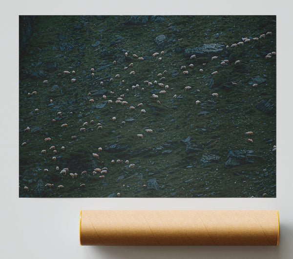 Green Hill Flock Poster