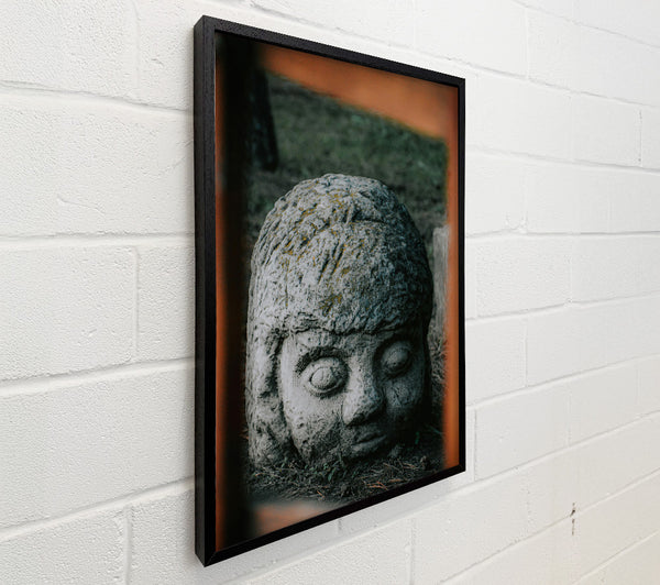 Stone Grey Gaze