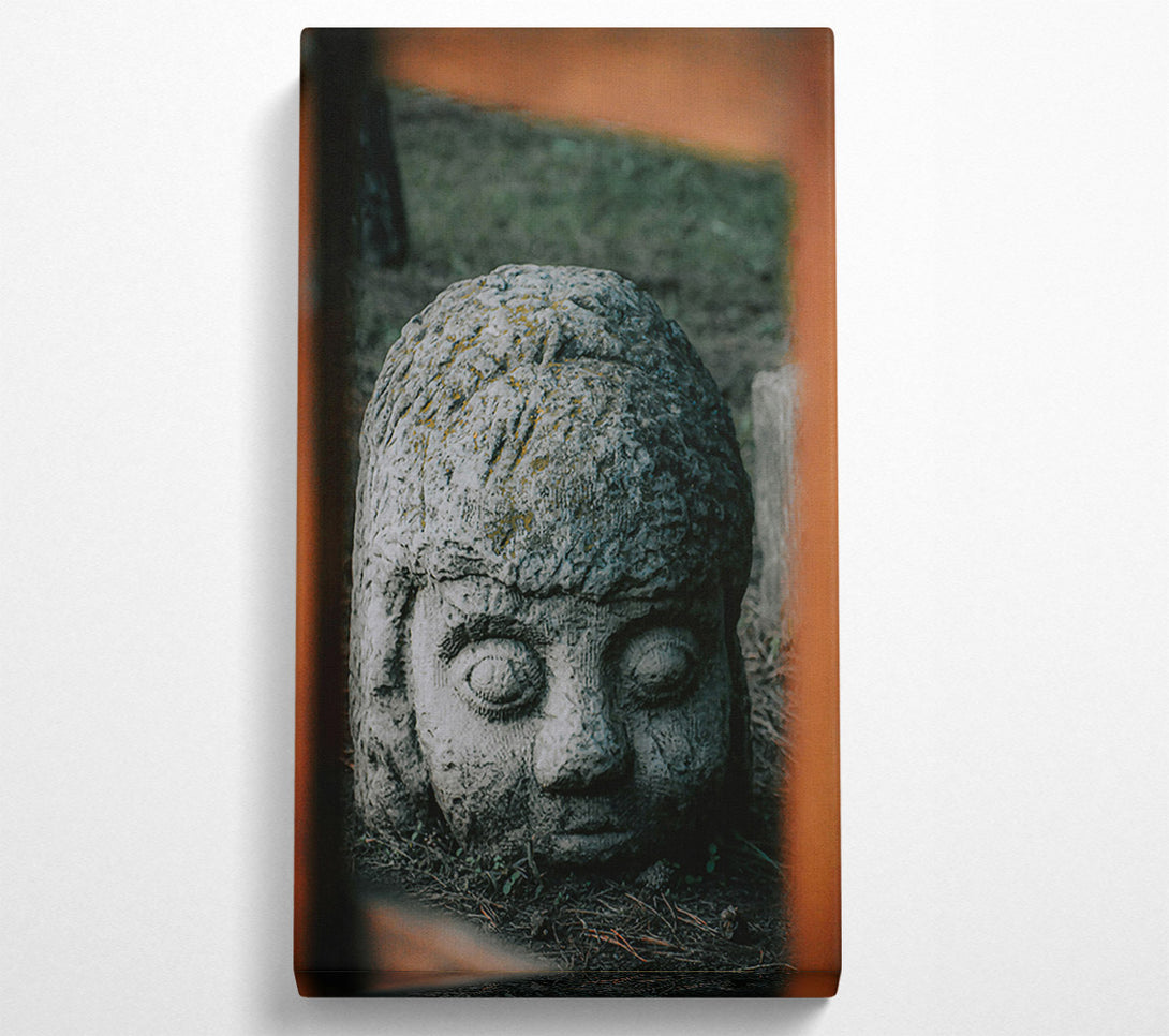  A Canvas Print of Stone Grey Gaze Canvas Art