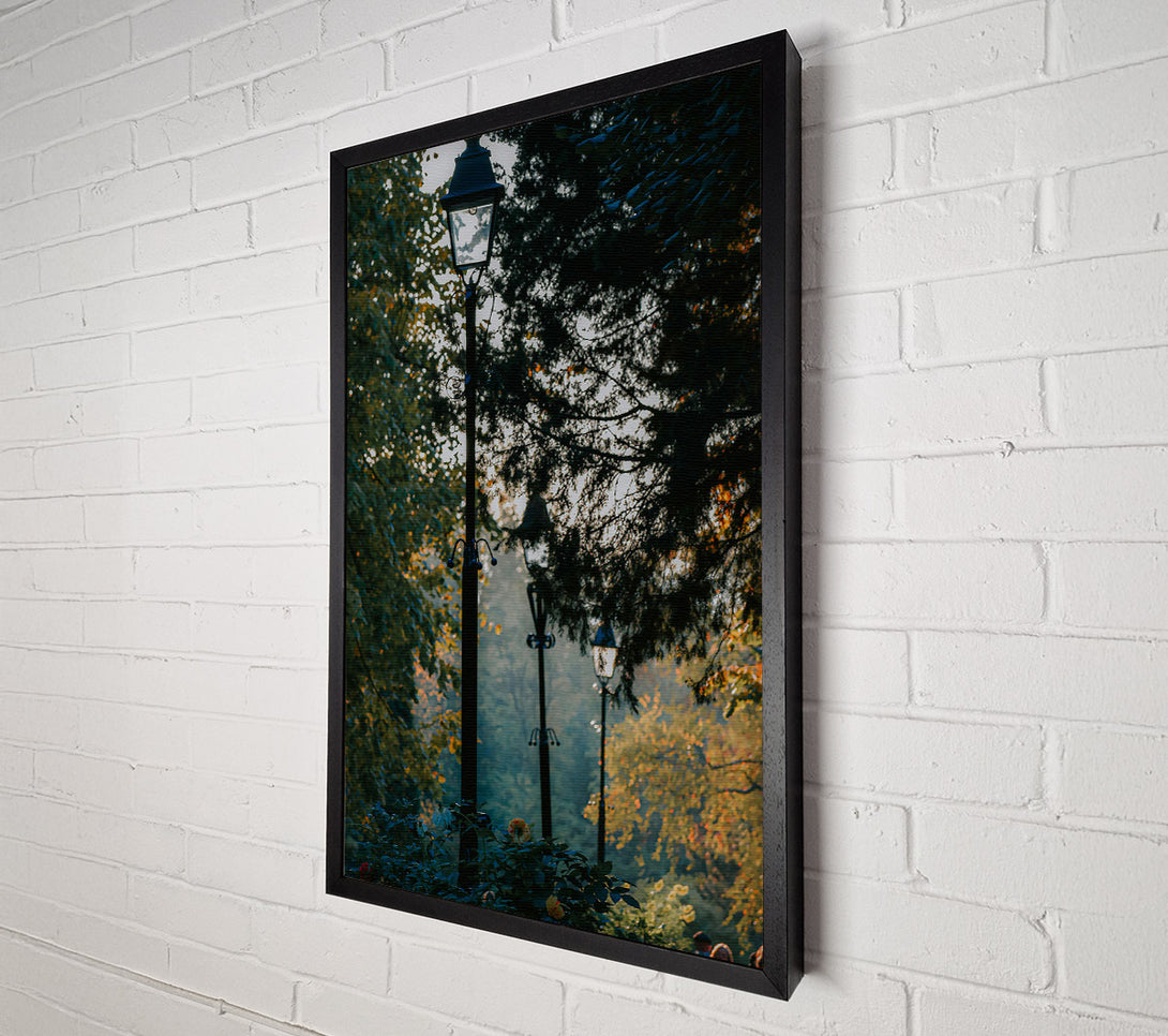  A Canvas Print of Green Light Through Trees Canvas Art
