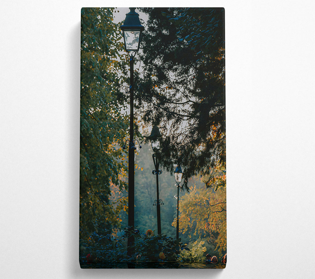  A Canvas Print of Green Light Through Trees Canvas Art