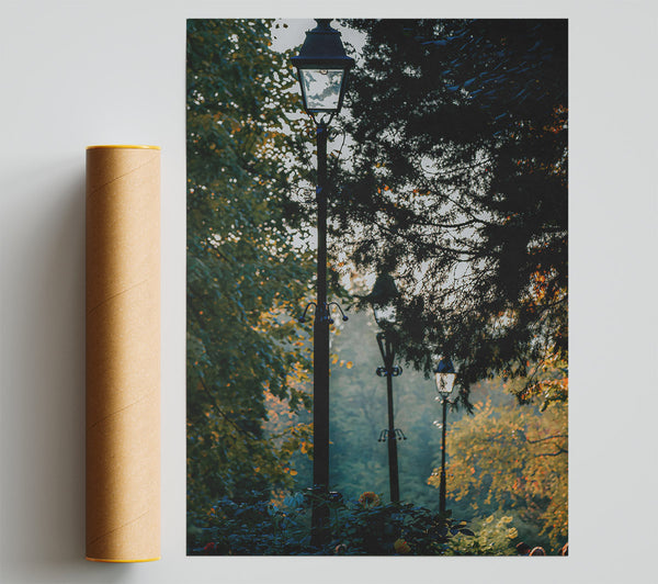 Green Light Through Trees Print