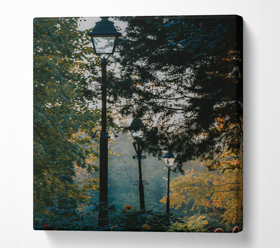  A Canvas Print of Green Light Through Trees Canvas Art