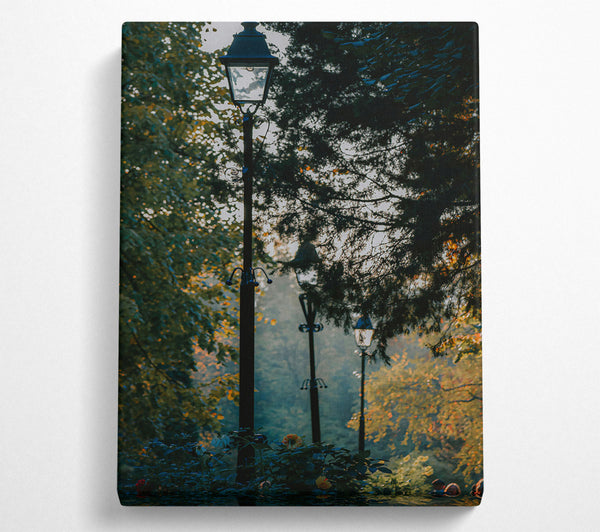  A Canvas Print of Green Light Through Trees Canvas Art
