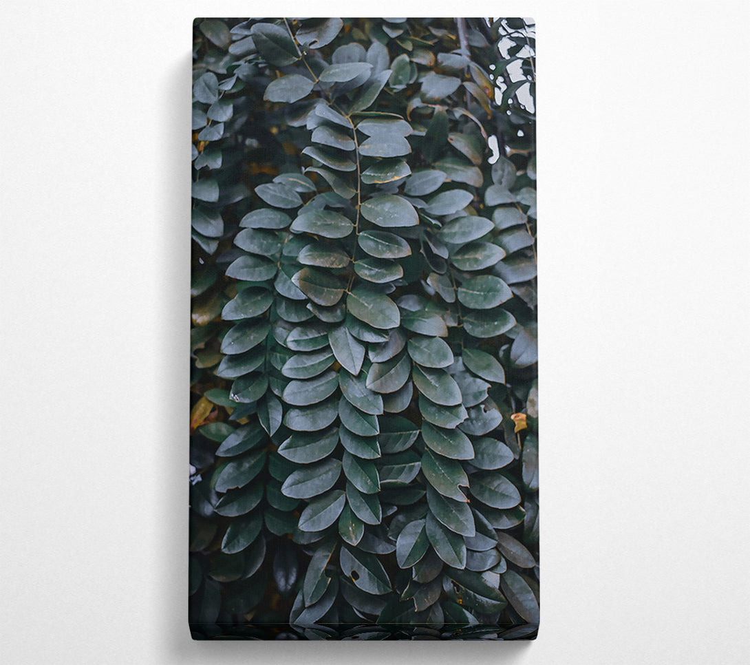  A Canvas Print of Emerald Leaf Cascade Canvas Wall Art