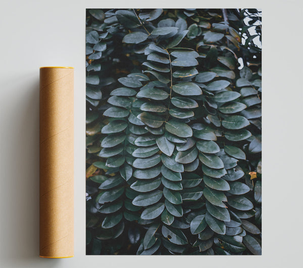 Emerald Leaf Cascade Print