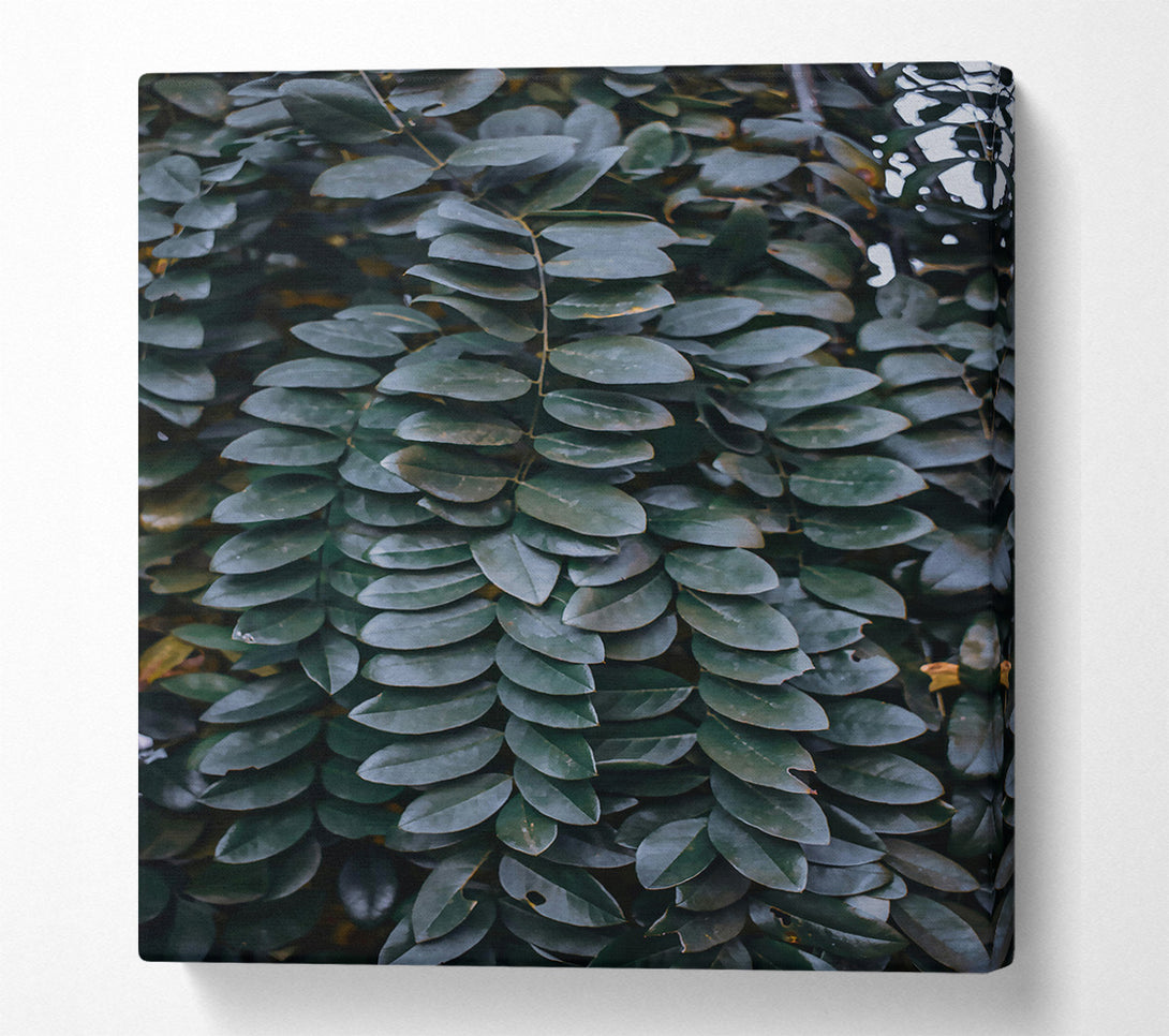  A Canvas Print of Emerald Leaf Cascade Canvas Wall Art
