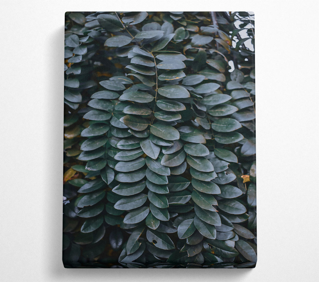  A Canvas Print of Emerald Leaf Cascade Canvas Wall Art