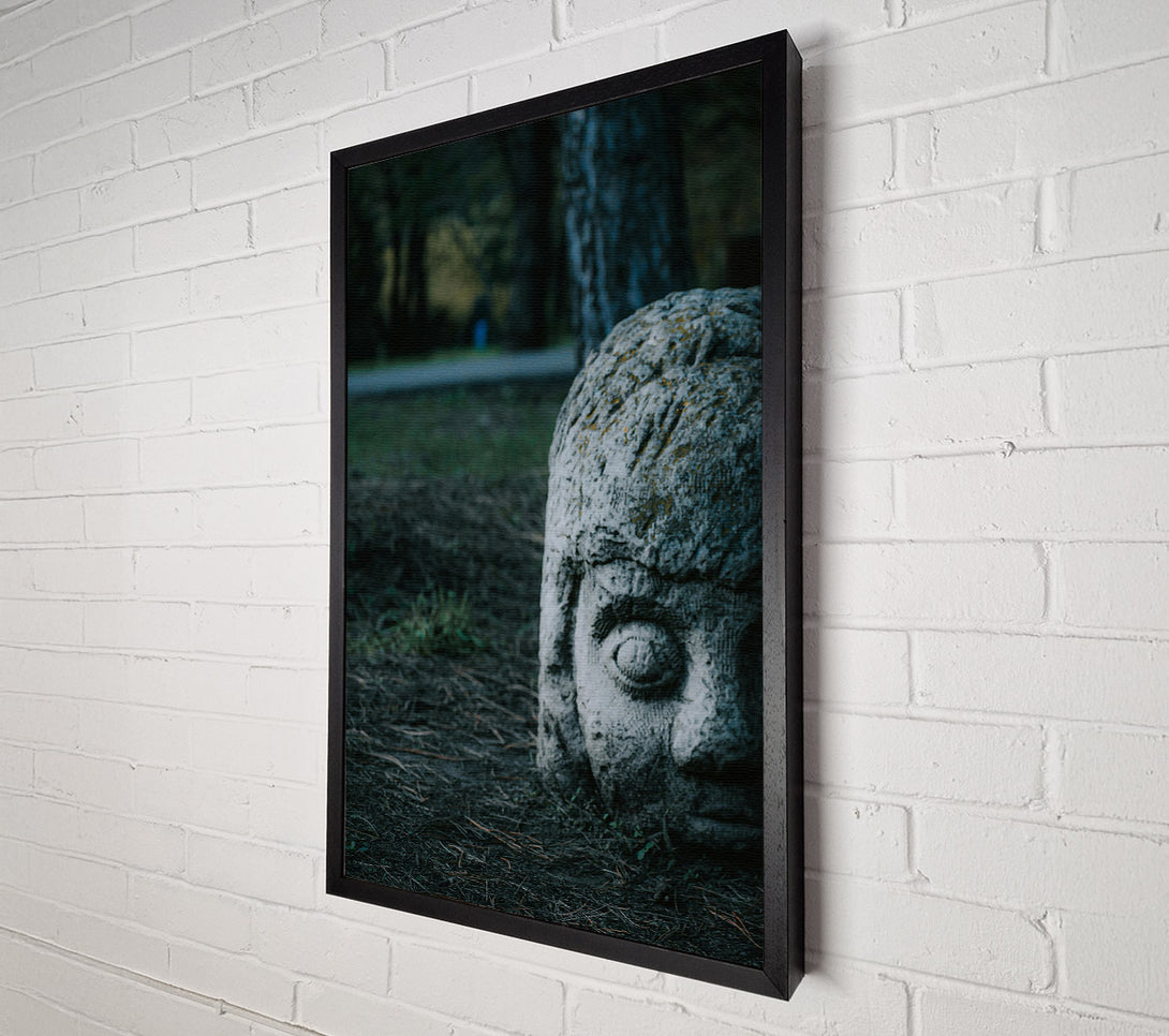  A Canvas Print of Gray Stone Gaze Canvas Wall Art