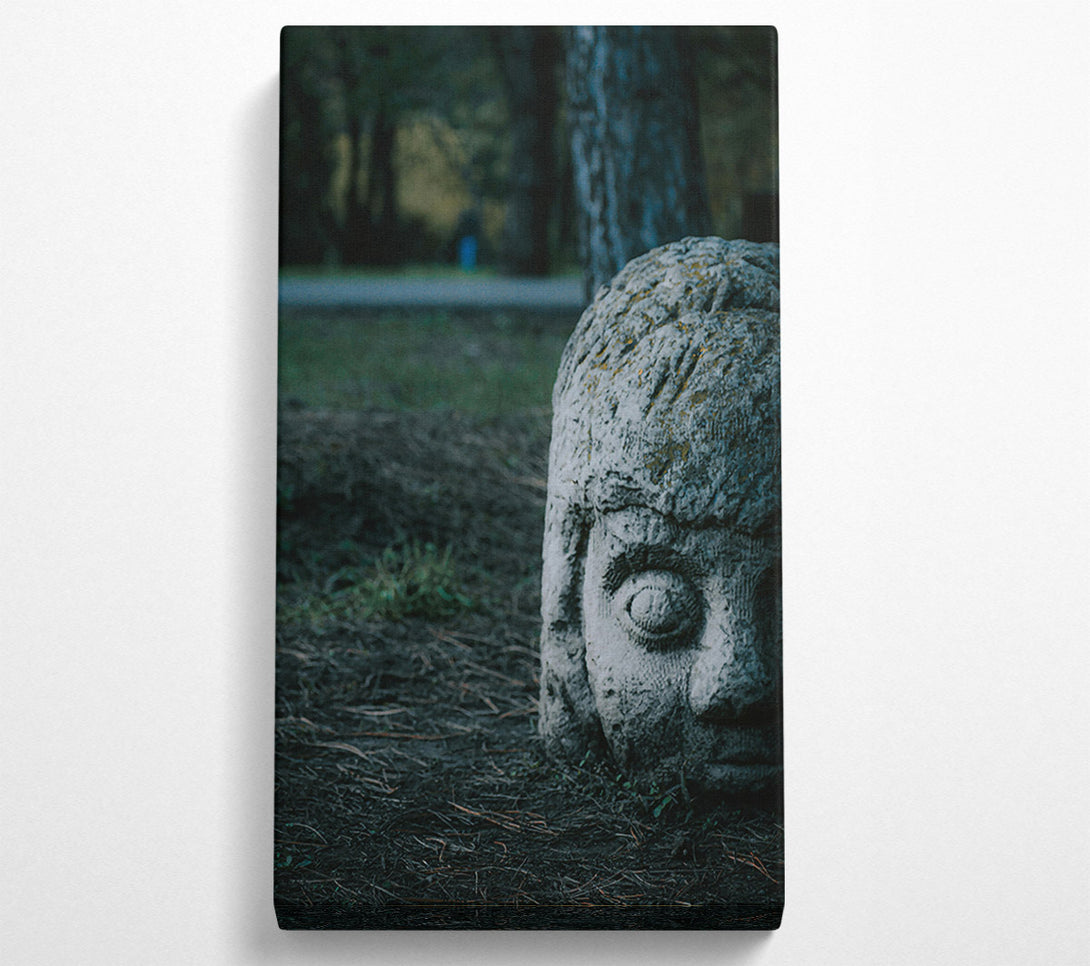  A Canvas Print of Gray Stone Gaze Canvas Wall Art