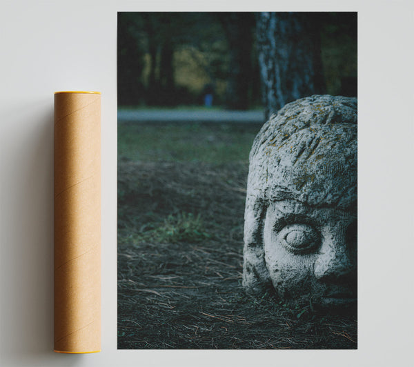 Gray Stone Gaze Print