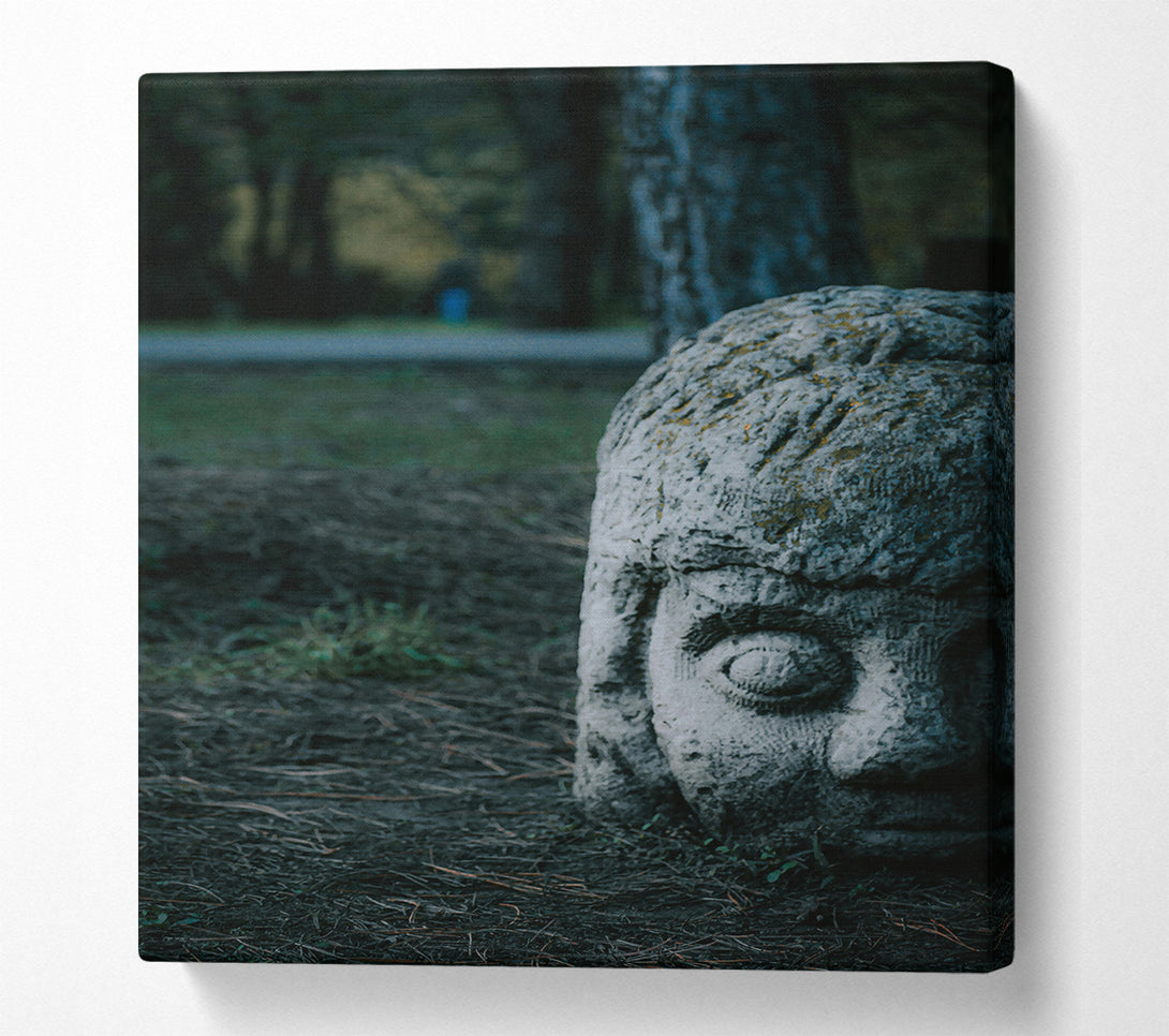  A Canvas Print of Gray Stone Gaze Canvas Wall Art
