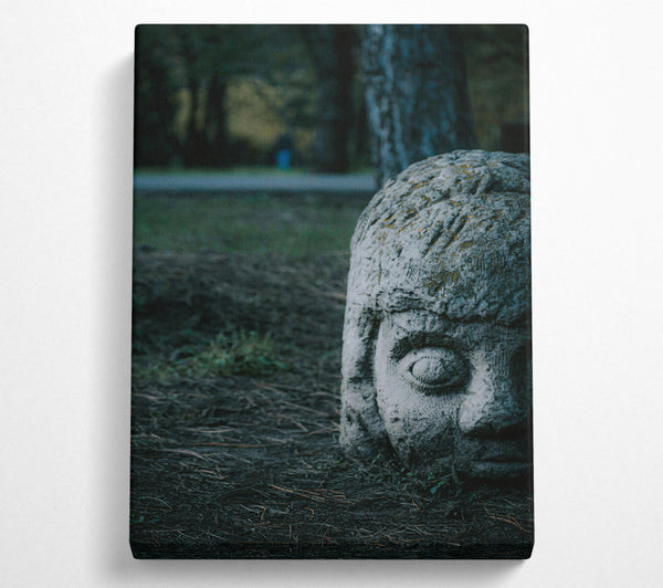  A Canvas Print of Gray Stone Gaze Canvas Wall Art