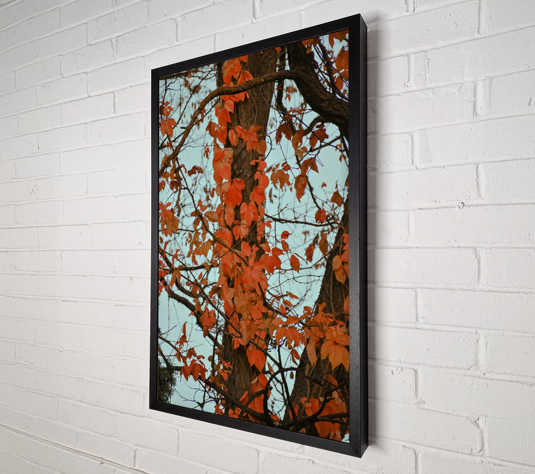  A Canvas Print of Crimson Tree Embrace Canvas Art
