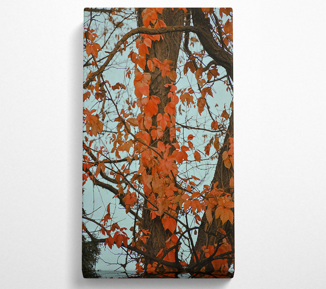  A Canvas Print of Crimson Tree Embrace Canvas Art