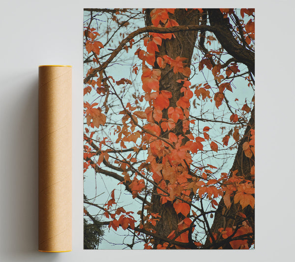Crimson Tree Embrace Poster