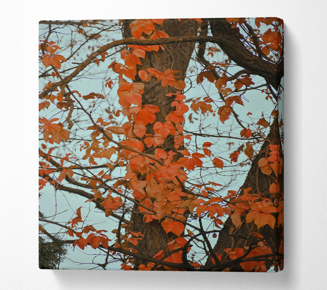  A Canvas Print of Crimson Tree Embrace Canvas Art