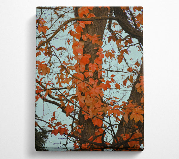  A Canvas Print of Crimson Tree Embrace Canvas Art
