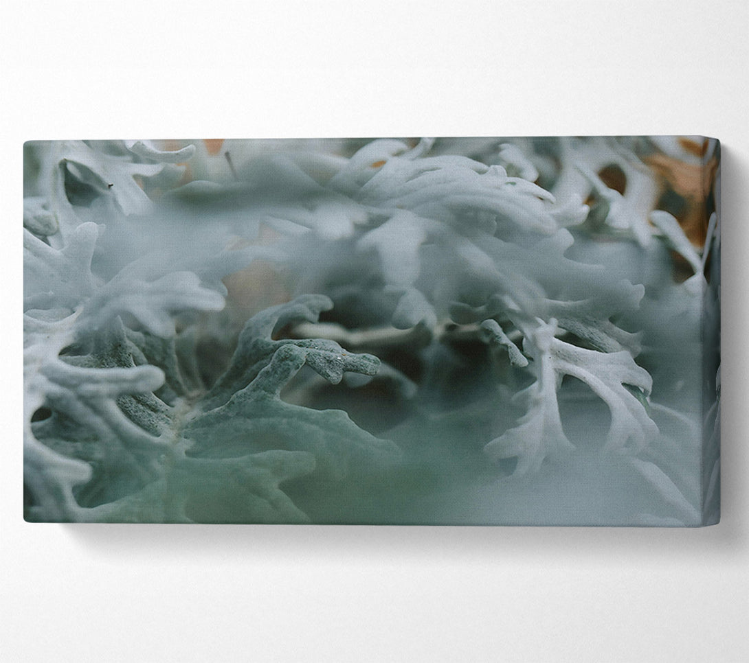  A Canvas Print of Silver Green Embrace Canvas Art