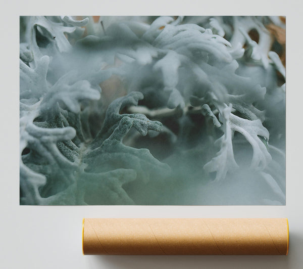 Silver Green Embrace Print