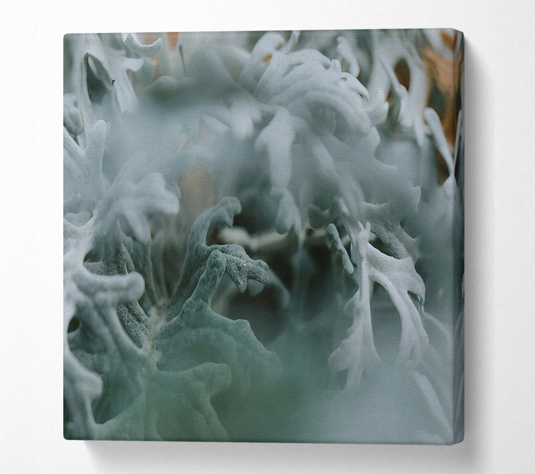 A Canvas Print of Silver Green Embrace Canvas Art