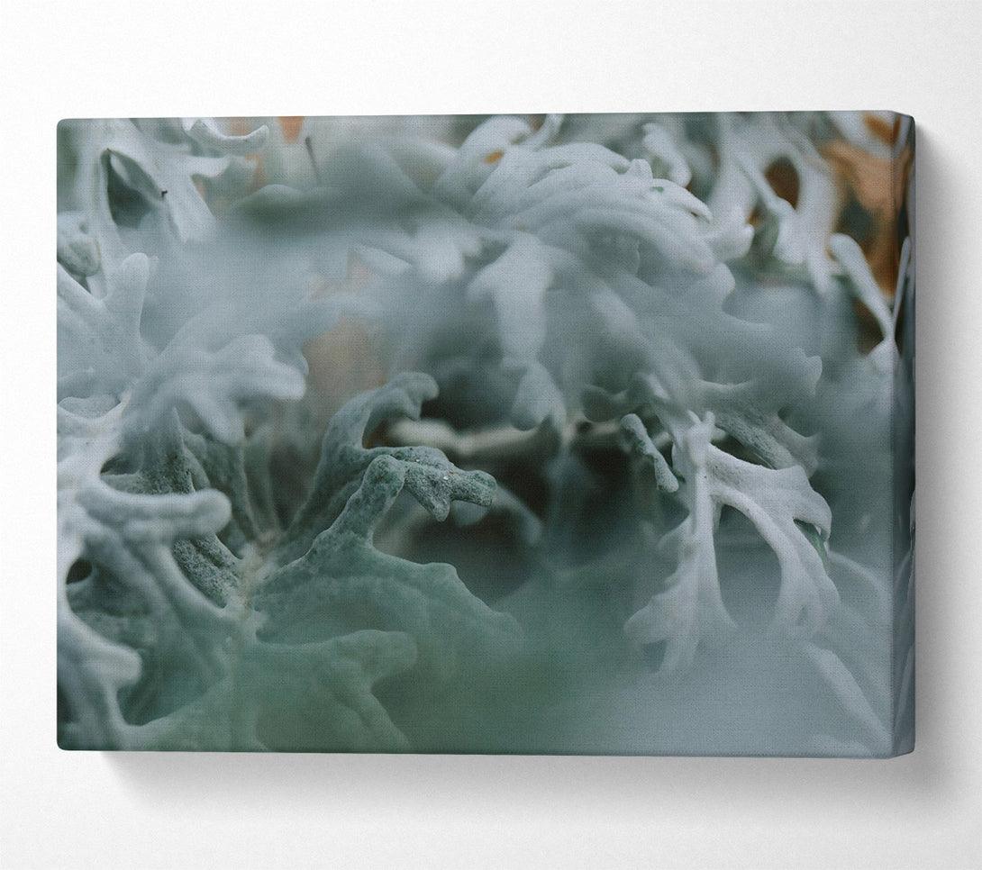  A Canvas Print of Silver Green Embrace Canvas Art