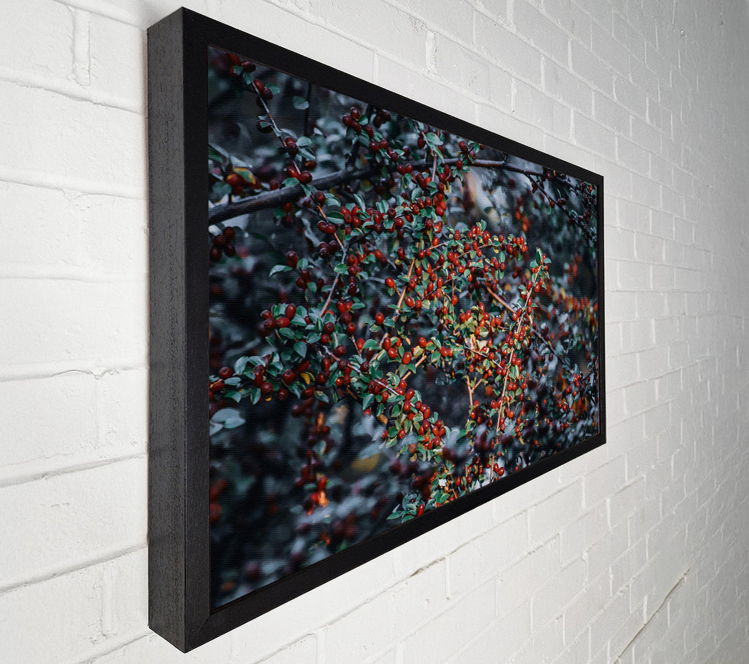  A Canvas Print of Crimson Berry Branches Canvas Wall Art