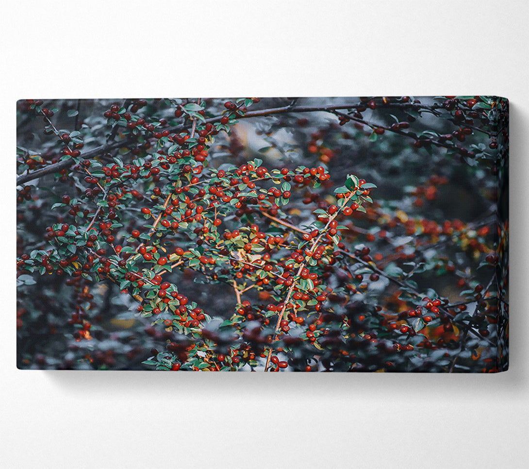  A Canvas Print of Crimson Berry Branches Canvas Wall Art