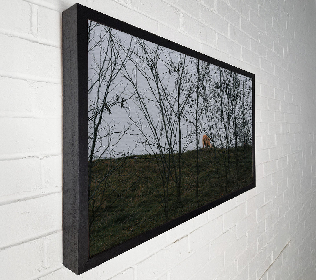  A Canvas Print of Golden Through The Branches Canvas Wall Art