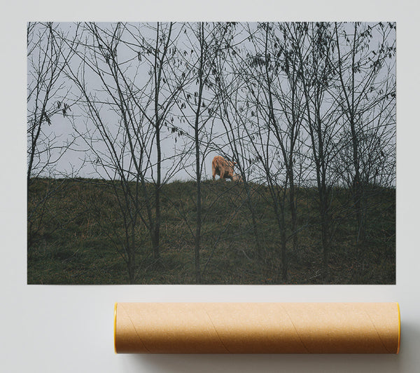 Golden Through The Branches Giclee Print