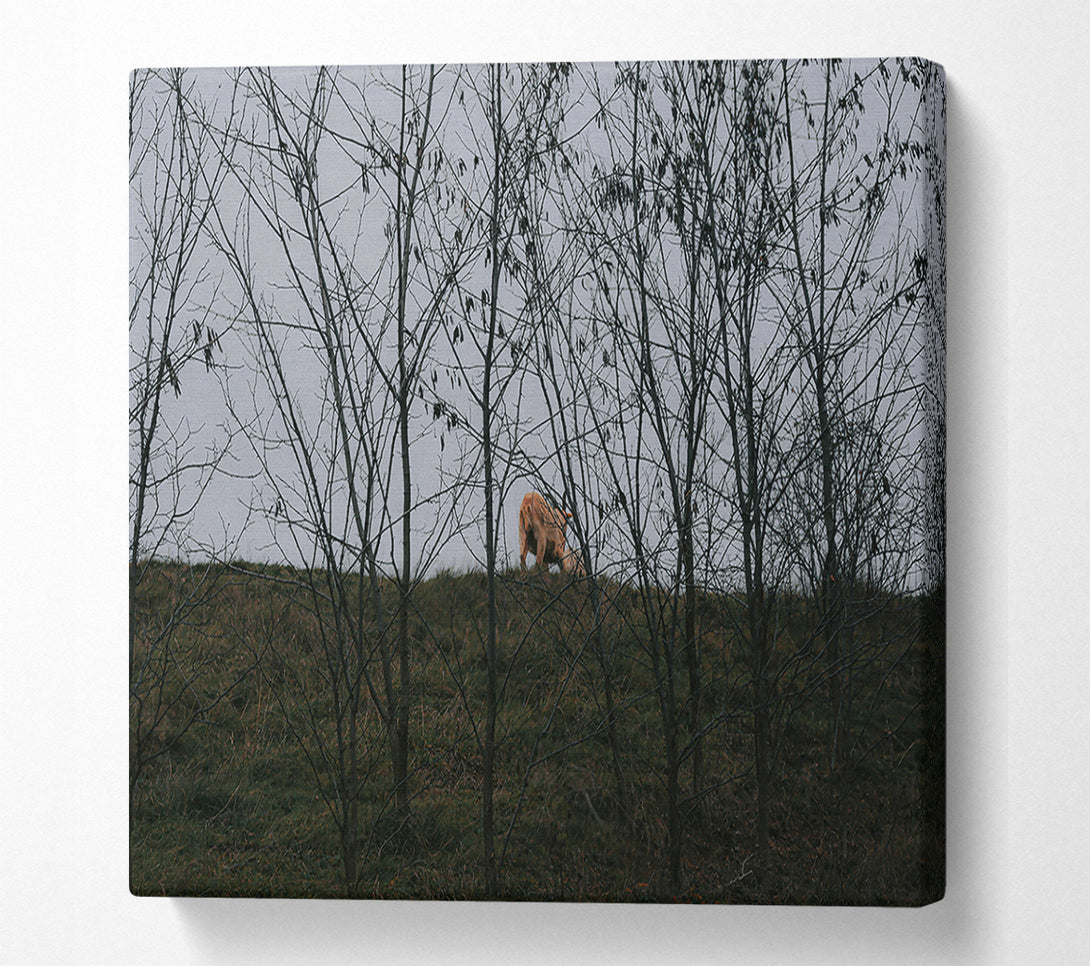  A Canvas Print of Golden Through The Branches Canvas Wall Art