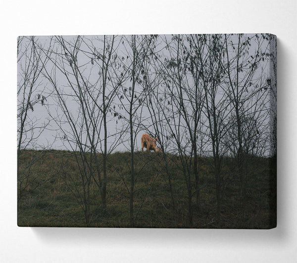  A Canvas Print of Golden Through The Branches Canvas Wall Art
