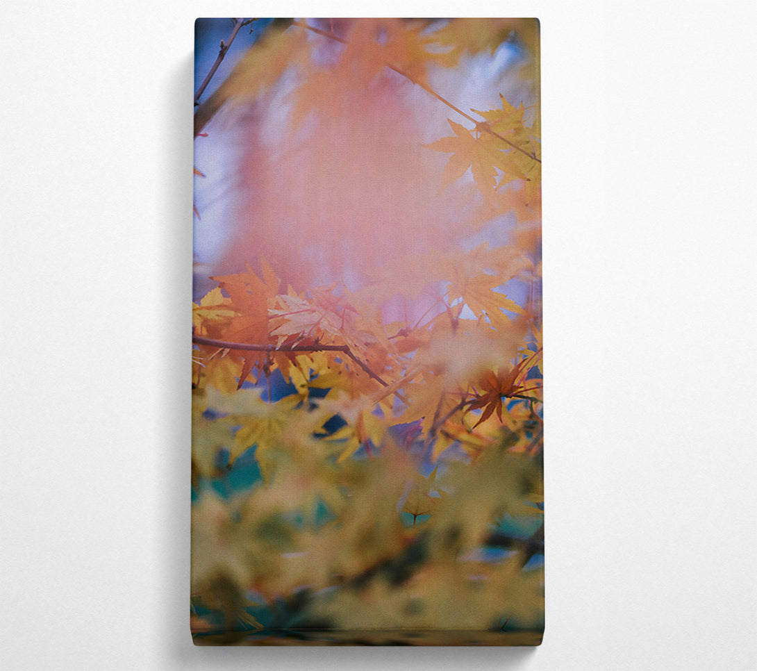  A Canvas Print of Golden Autumn Haze Canvas Art