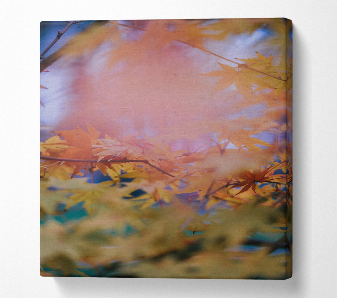  A Canvas Print of Golden Autumn Haze Canvas Art