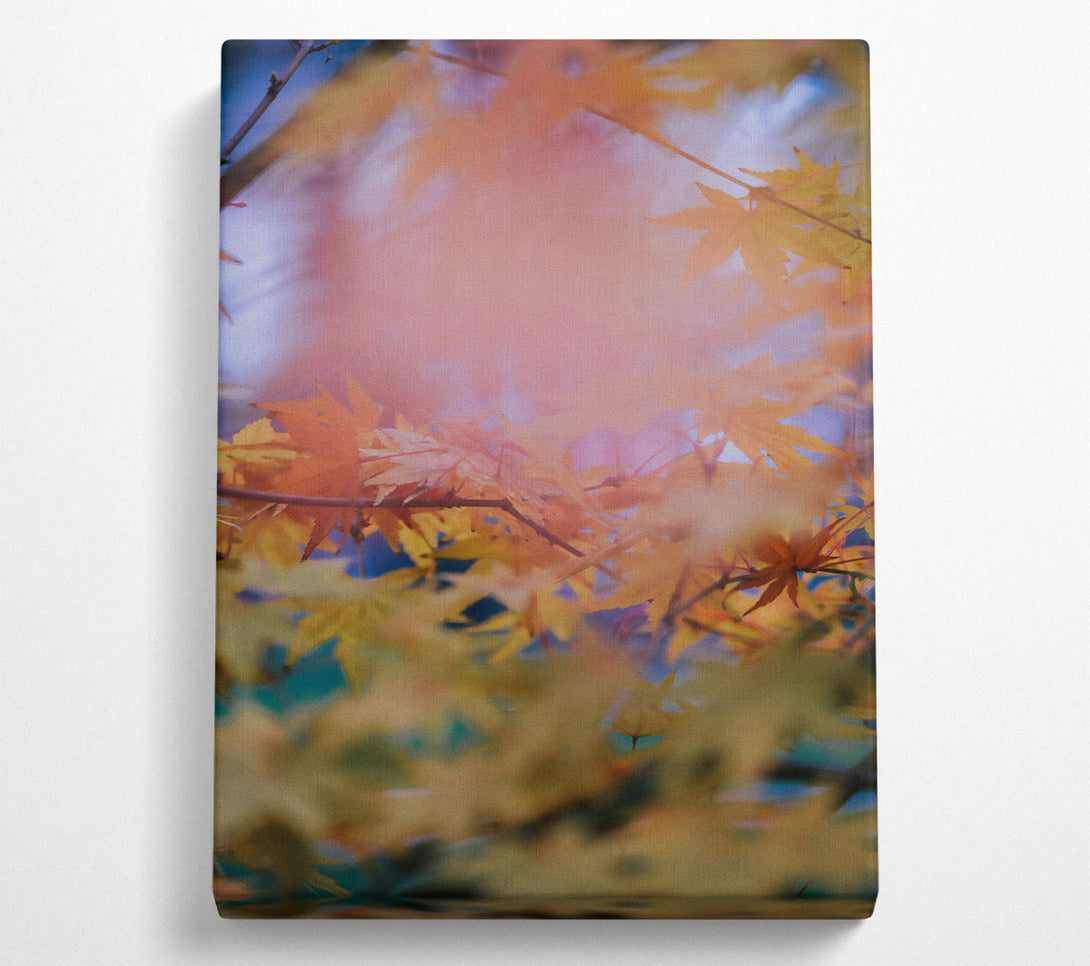  A Canvas Print of Golden Autumn Haze Canvas Art