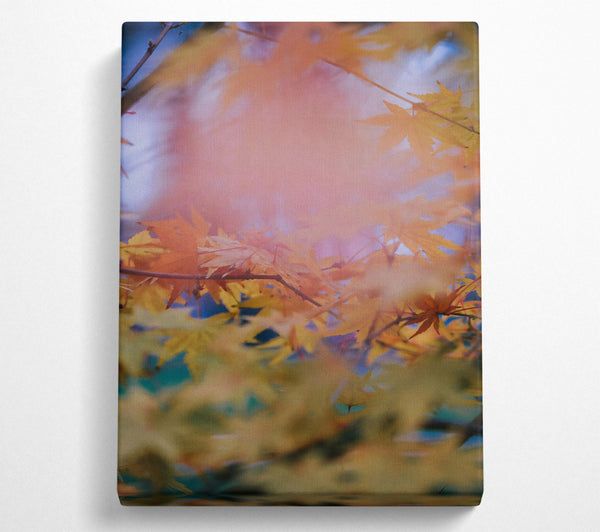  A Canvas Print of Golden Autumn Haze Canvas Art