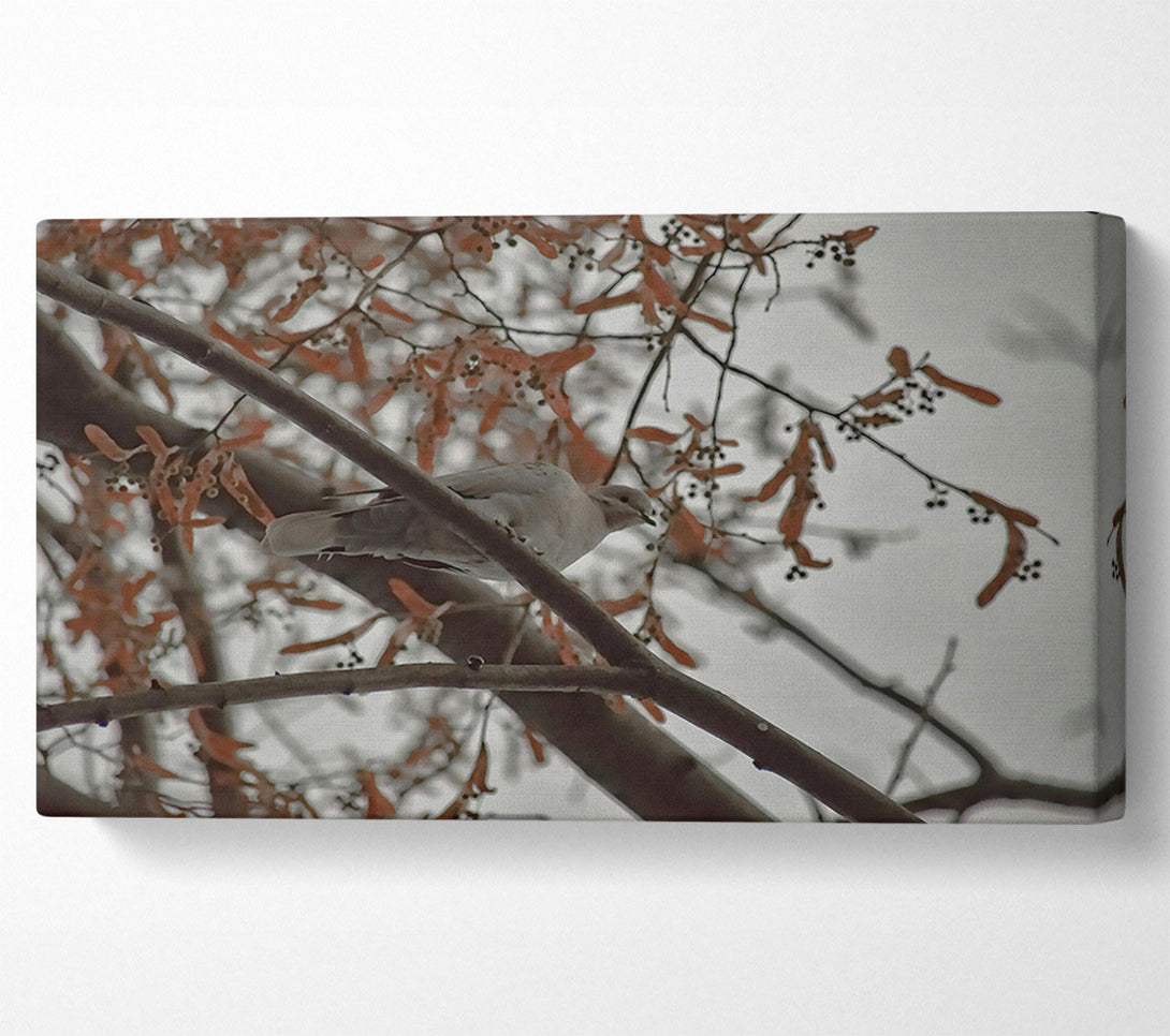  A Canvas Print of Brown Branch Bird Canvas Art