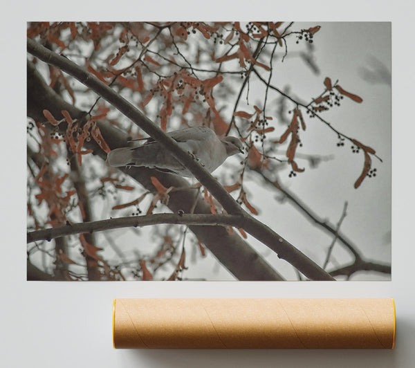 Brown Branch Bird Print