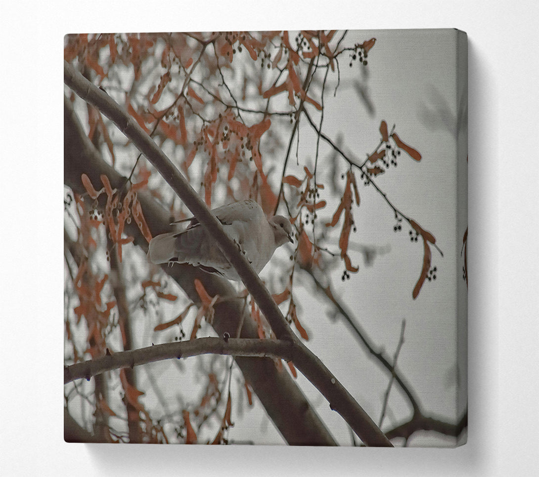  A Canvas Print of Brown Branch Bird Canvas Art
