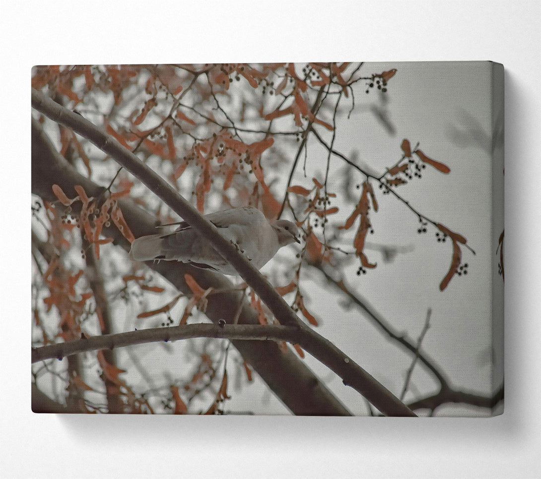  A Canvas Print of Brown Branch Bird Canvas Art