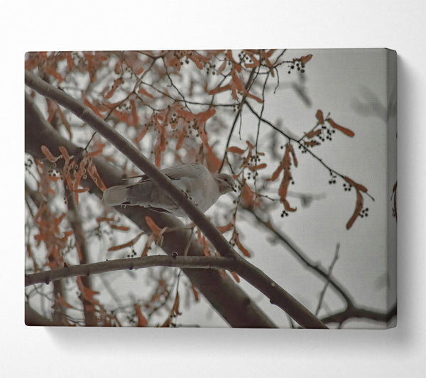  A Canvas Print of Brown Branch Bird Canvas Art