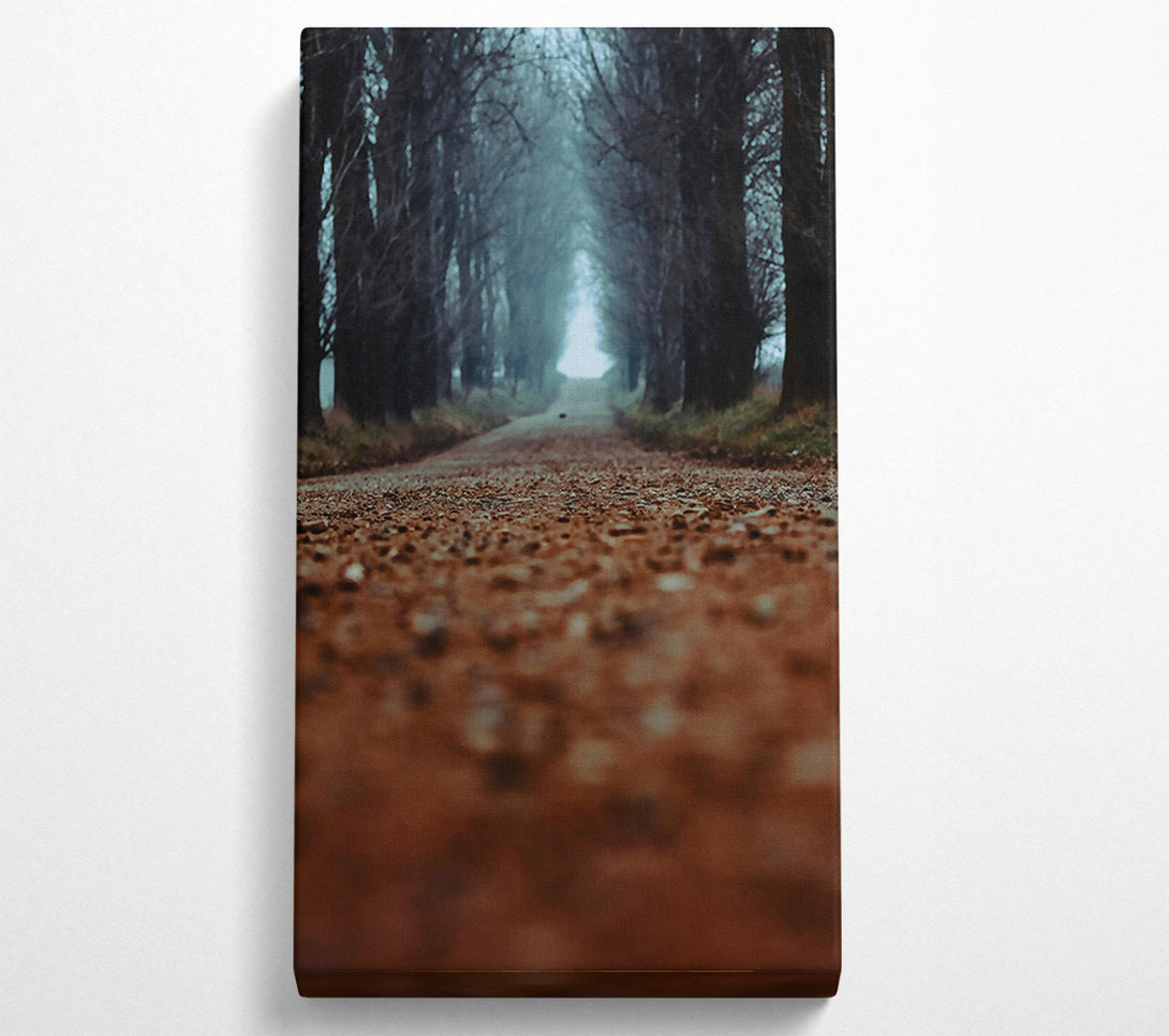  A Canvas Print of Brown Forest Road Canvas Print