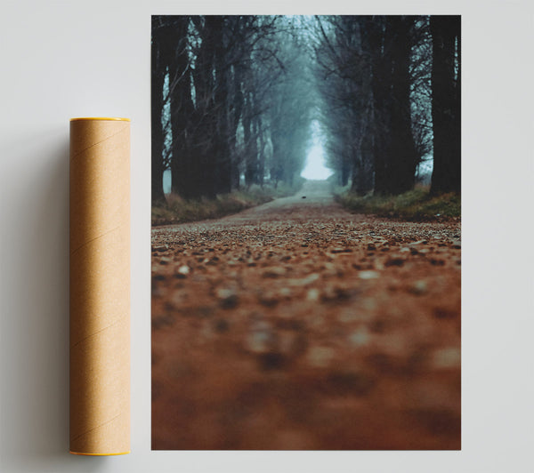 Brown Forest Road Poster