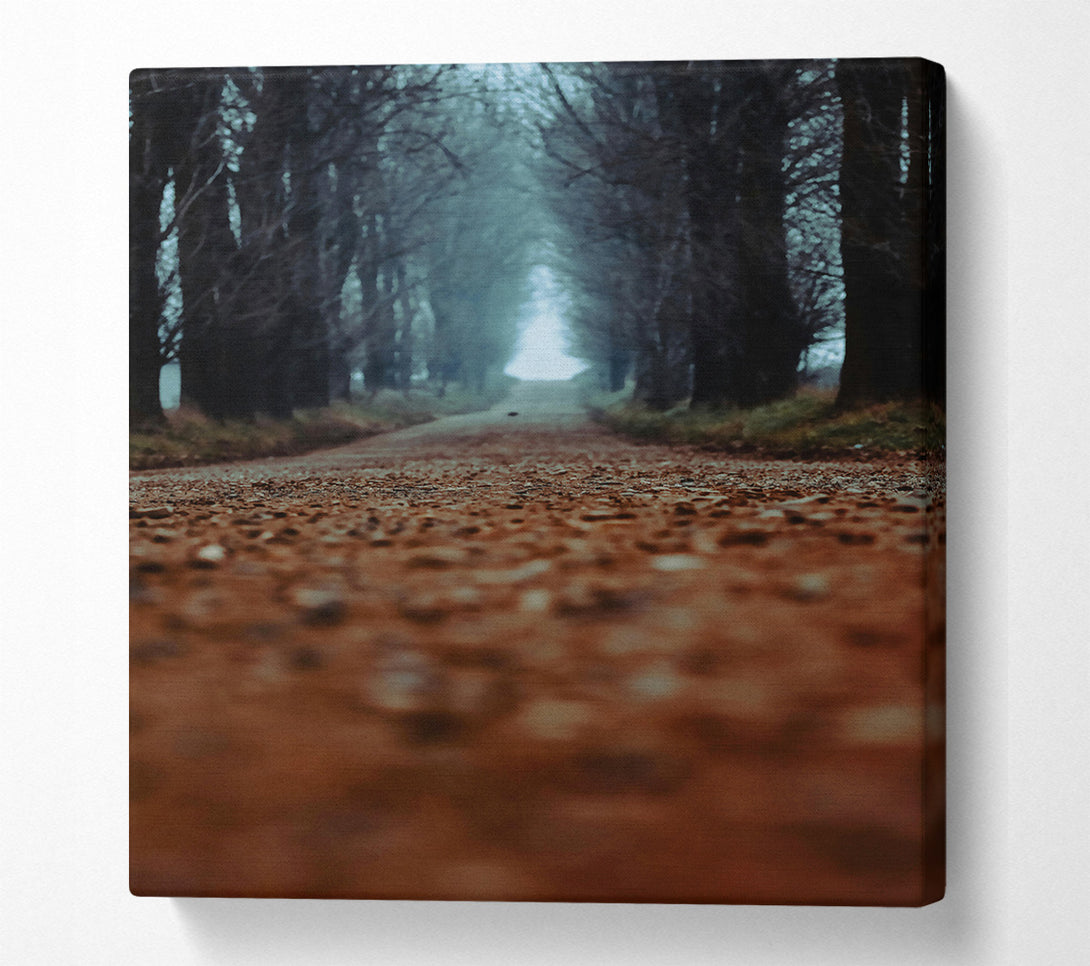  A Canvas Print of Brown Forest Road Canvas Print