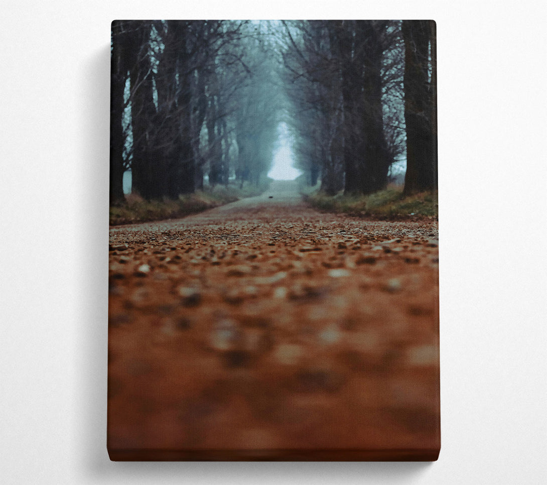  A Canvas Print of Brown Forest Road Canvas Print