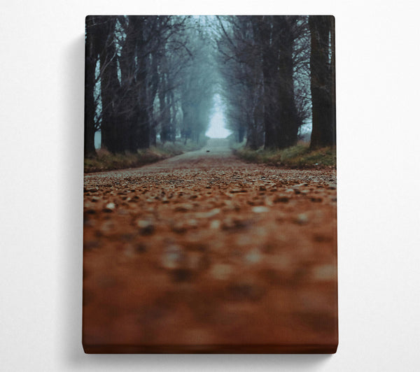 A Canvas Print of Brown Forest Road Canvas Print